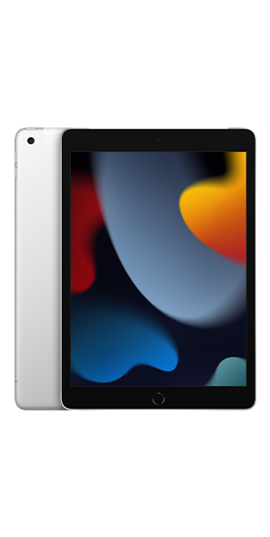 10.2-inch iPad Wi-Fi + Cellular 256GB - 9th gen