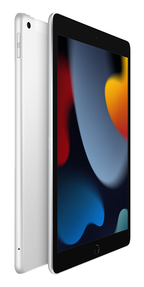 10.2-inch iPad Wi-Fi + Cellular 256GB - 9th gen