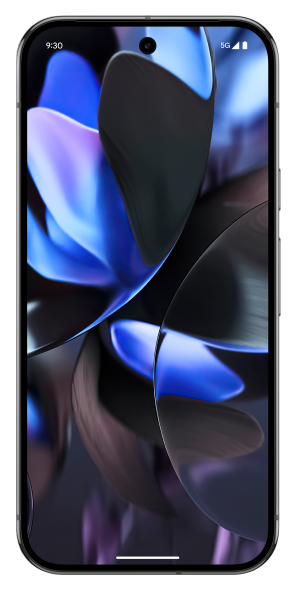 Pixel 9 Pro