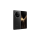 HONOR Magic V5