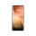 Vivo V60 5G 